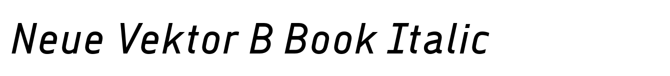 Neue Vektor B Book Italic image